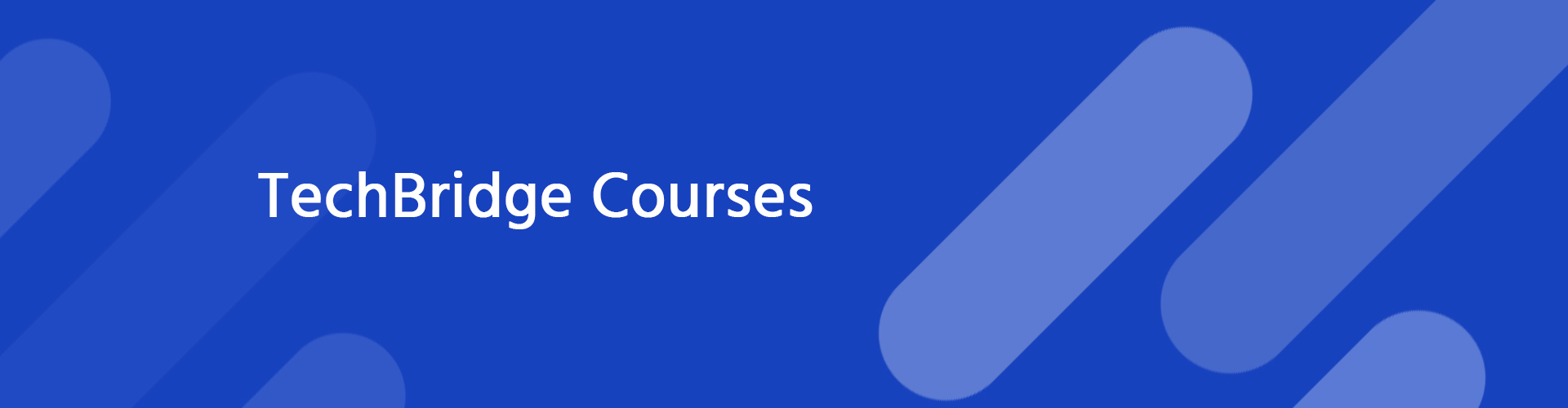 TechBridge Courses